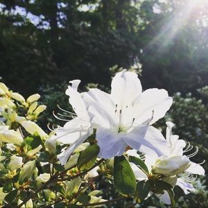 Meet your Posher, Maggie